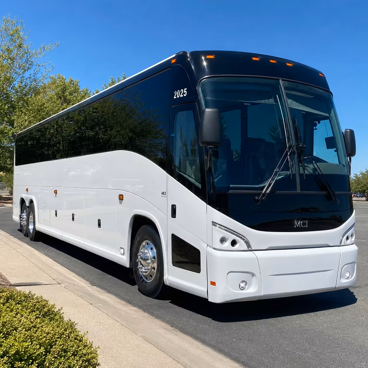 youth group and summer camp transportation in southfield